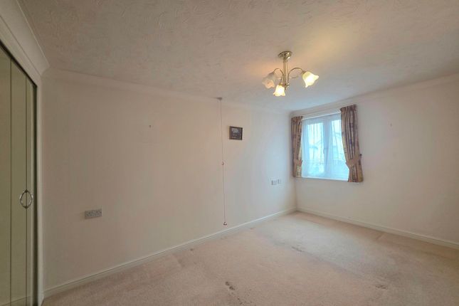 35, Paignton photo 5