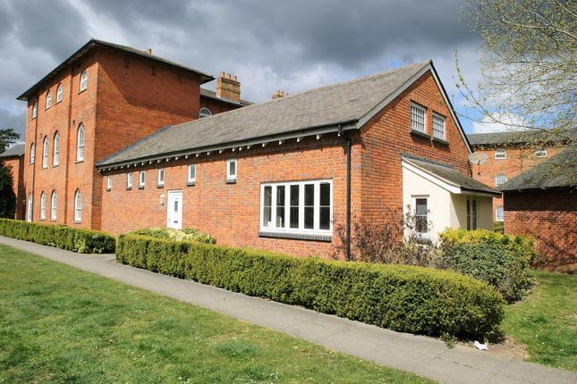 Thumbnail Semi-detached bungalow to rent in Nightingales, Bishop's Stortford