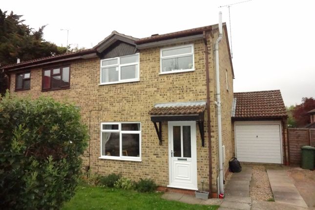 Detached house to rent in Lovage Way, Horndean, Waterlooville, Hampshire