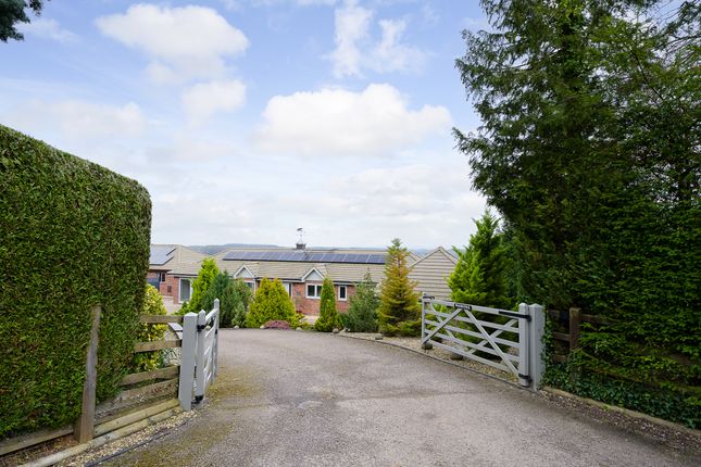 Detached bungalow for sale in Linton, Ross-On-Wye