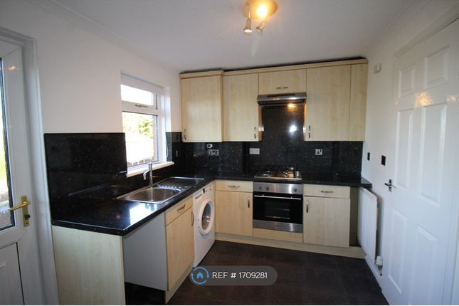 Thumbnail Terraced house to rent in Ailsa Court, Hamilton