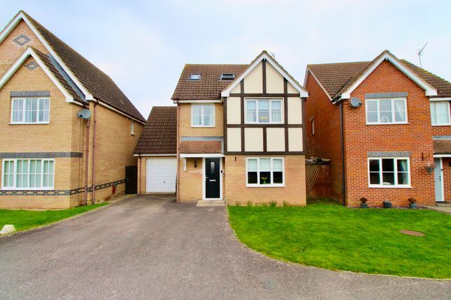 Thumbnail Detached house for sale in Bentley Avenue, Yaxley, Peterborough