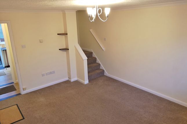 4, Ryde photo 4