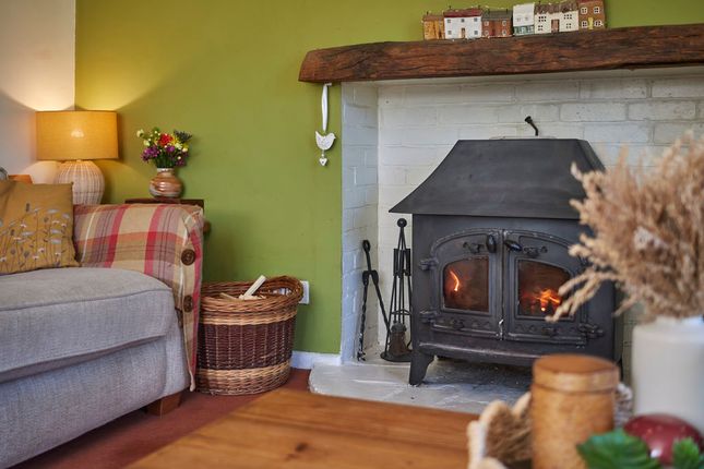 Downe Thatch, Exeter photo 4