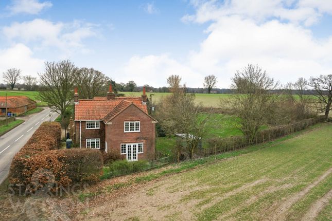 Thumbnail Detached house for sale in Newport Road, South Walsham, Norwich
