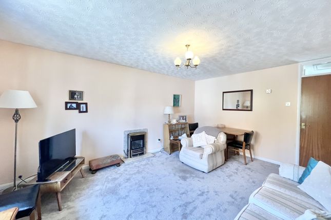 8, Geldof Drive, North Shore photo 3