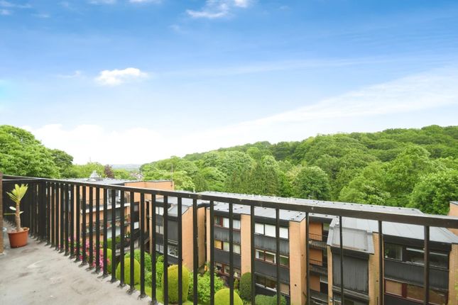 7 Rustlings Court, Graham Road, Sheffield photo 3