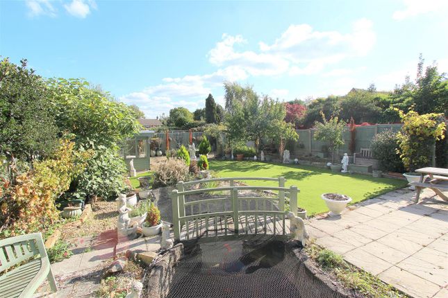 Garden D.Jpg
