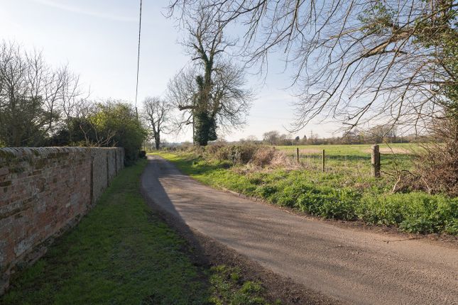 Mill Lane