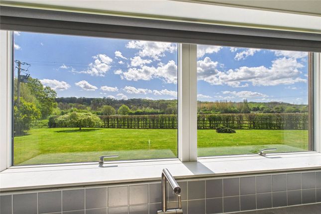 View From Kitchen