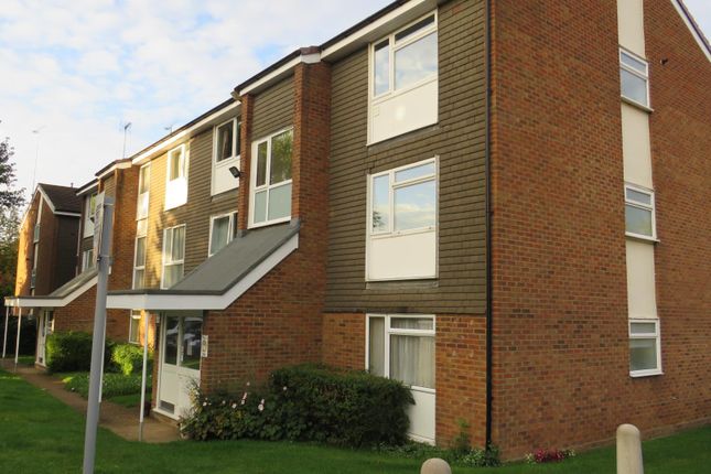 Thumbnail Flat to rent in Cuffley Court, Hemel Hempstead