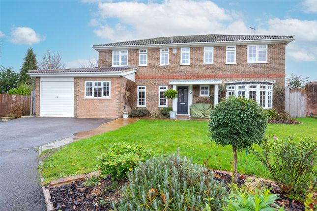 Thumbnail Detached house for sale in The Mead, Old Basing, Basingstoke
