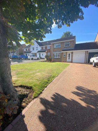 Photo-2025-10-01-19-32-26 5.Jpg