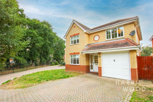 Thumbnail Detached house to rent in Asquith Drive, Highwoods, Colchester, Essex