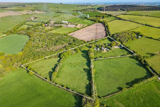 Gwynne Moor