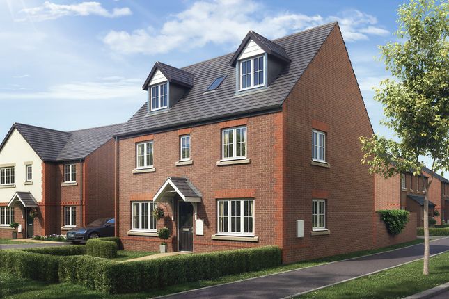 Thumbnail Detached house for sale in "The Newton" at Boughton Green Road, Northampton