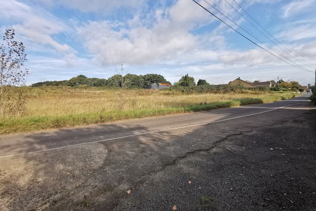 Land for sale in Bungalow &amp; Approx 10.16 Acres, West Street, South Petherton