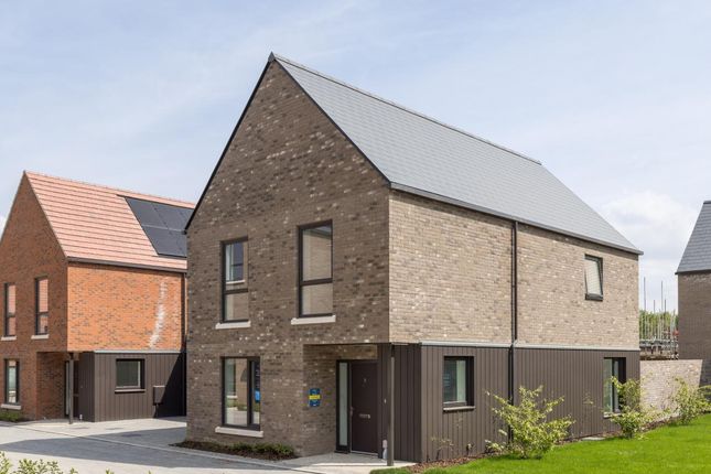 The Sycamore, Number 422