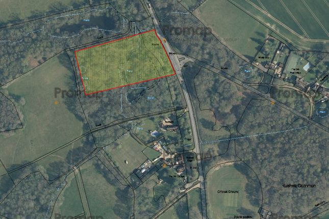 Thumbnail Land for sale in Grafham, Bramley Guildford