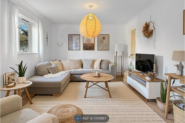 Living Room Area