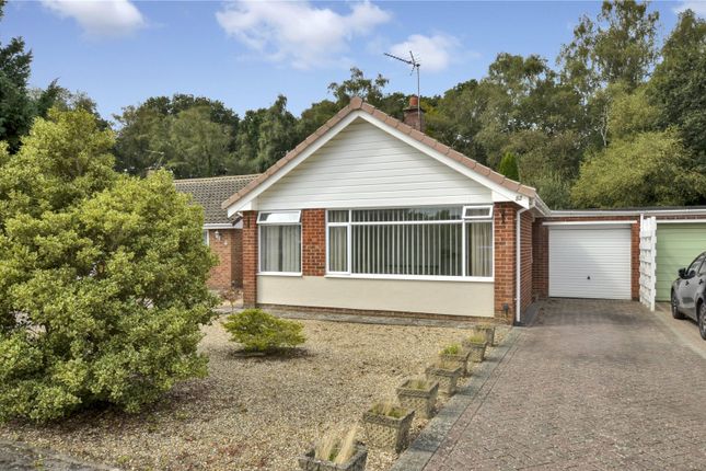 Bungalow for sale in Pennington Road, West Moors, Ferndown, Dorset