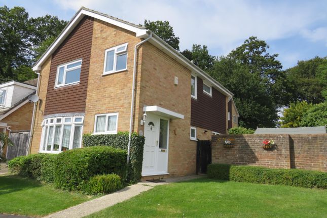 Thumbnail Property to rent in Fountains Close, Gossops Green, Crawley