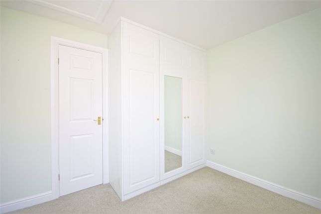 31, York photo 5