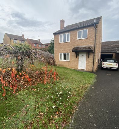 Thumbnail Detached house to rent in Westmorland Drive, Desborough