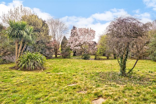 17, Hartington Road, London photo 4