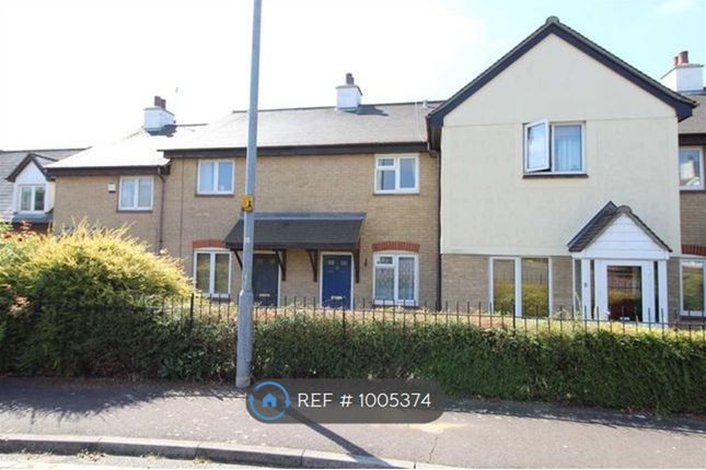 Thumbnail Terraced house to rent in Peto Avenue, Colchester