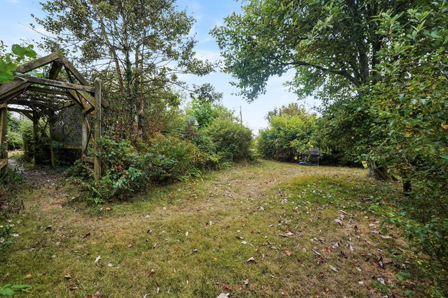 Talskiddy Farm, St. Columb photo 3