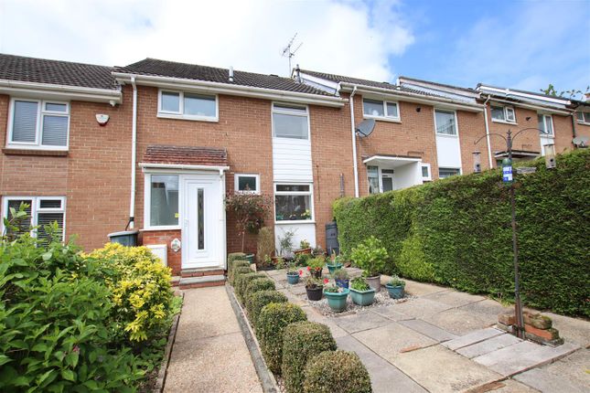 Terraced house for sale in Marypole Walk, Exeter