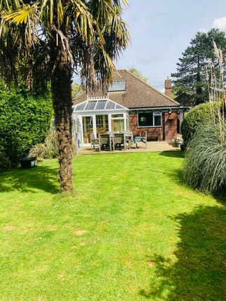 Detached bungalow for sale in Greenways, Crouch House Road, Edenbridge