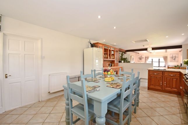 Kitchen - Dining - Living Room