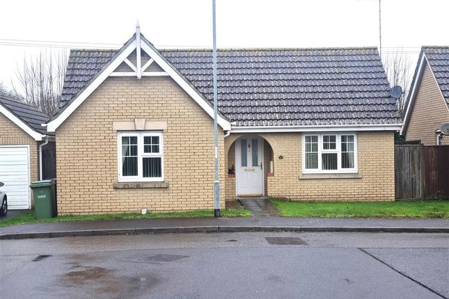 Thumbnail Detached bungalow to rent in Glendon Gardens, Leverington, Wisbech