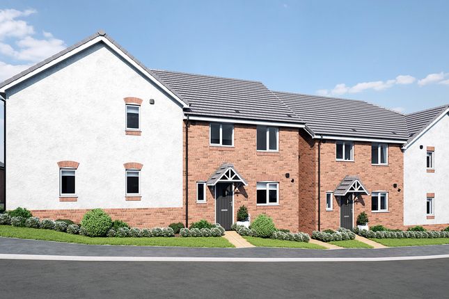 Thumbnail Semi-detached house for sale in "Sage Home" at Chard Road, Axminster