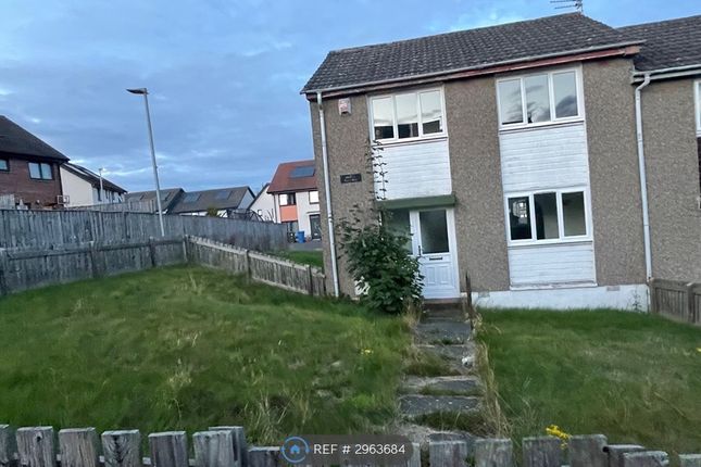 Barra Terrace, Dundee photo 5