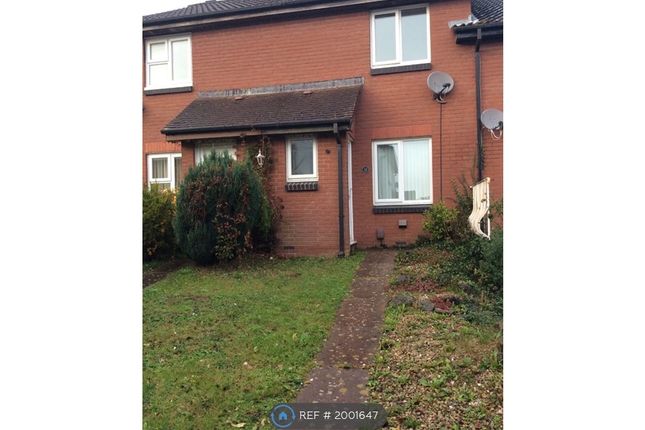 Thumbnail Terraced house to rent in Willhays Close, Kingsteignton, Newton Abbot