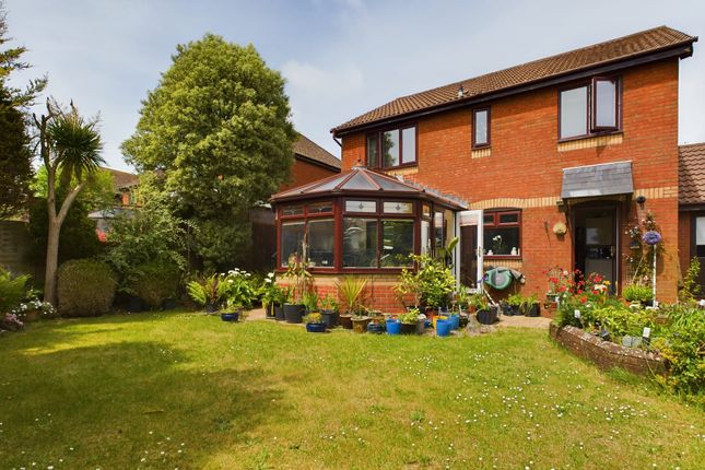 Thumbnail Detached house for sale in Whitebeam Close, Paignton
