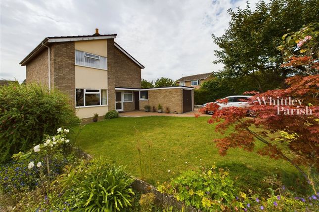 Thumbnail Detached house for sale in Peregrine Close, Diss
