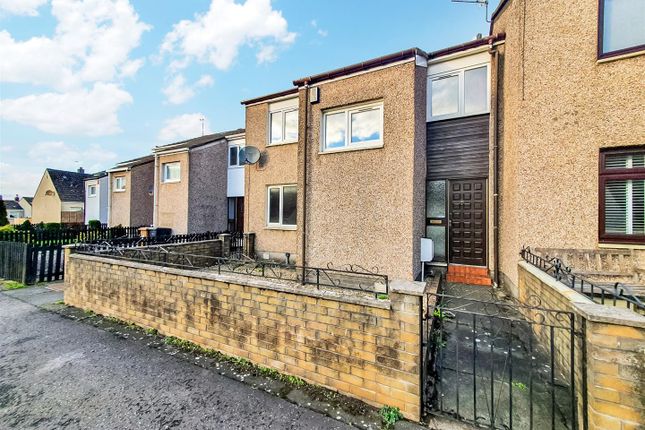 Rdc0164Levi Lead.Jpg