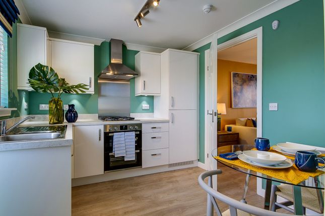 Terraced house for sale in "The Portree" at Hillcrest Square, Falkirk