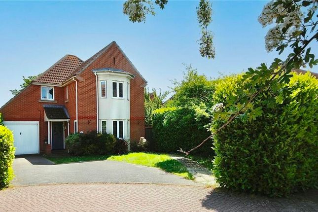 Thumbnail Detached house to rent in Jupiter Road, Ipswich