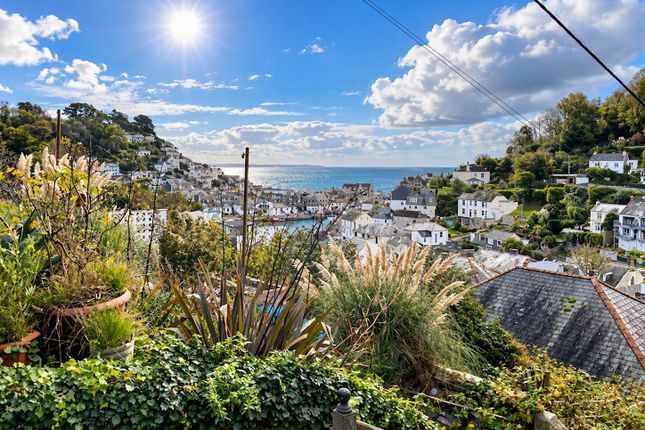 Looe photo 2