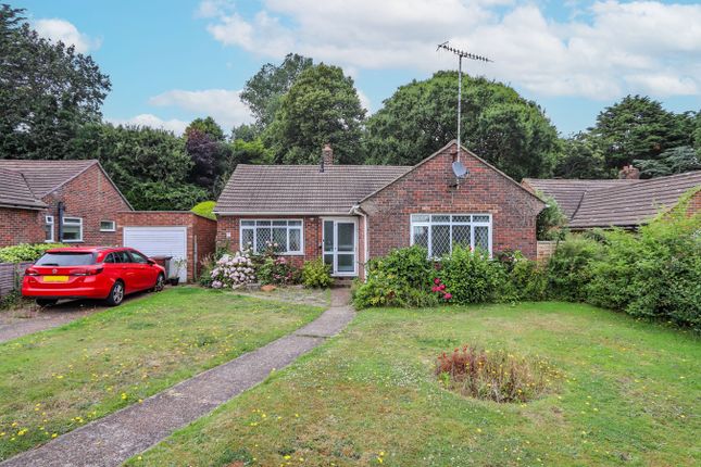 Thumbnail Detached bungalow for sale in Clifton Rise, Bexhill-On-Sea