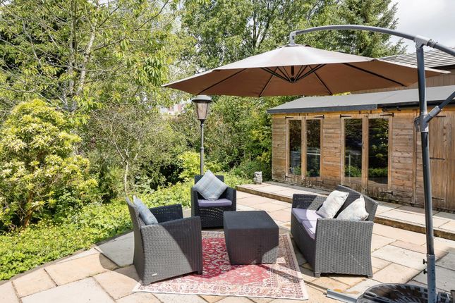 Patio Area
