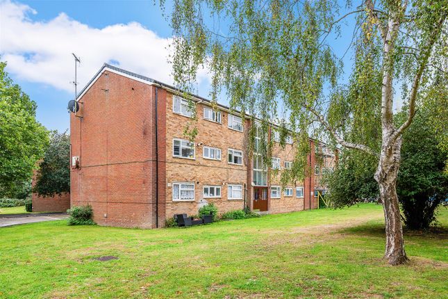 Merrymeet, 15- (10).Jpg