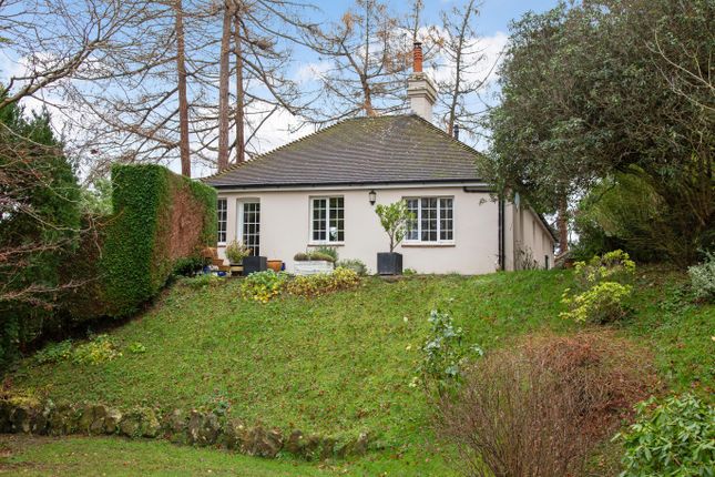 Detached bungalow for sale in Speldhurst Road, Langton Green