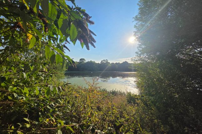 Moorhen Drive, London photo 3