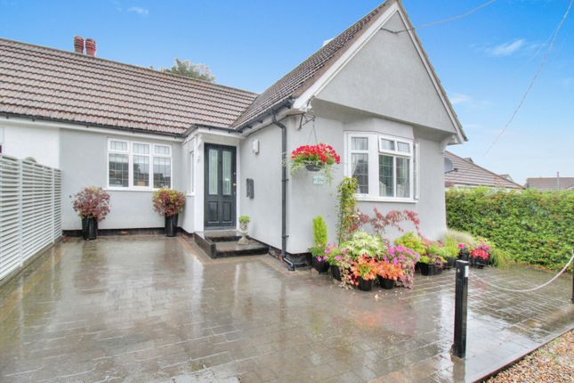 Thumbnail Semi-detached bungalow for sale in Manor Crescent, Little Waltham, Chelmsford